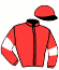 Casaque du jockey de Hipparion Des Ves