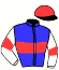 Casaque du jockey de Hermau De Suzon