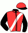 Casaque du jockey de Kids Du Bassin