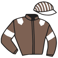 Casaque du jockey de Leitoria De Padd