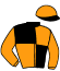 Casaque du jockey de Hampton Du Vivier