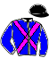 Casaque du jockey de Elise