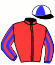 Casaque du jockey de Laeken De La Motte