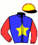 Casaque du jockey de Mec D'Erlanger