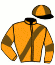 Casaque du jockey de Moon The Loon