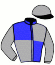 Casaque du jockey de Mad Way