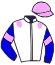 Casaque du jockey de Leu Des Bois