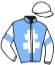 Casaque du jockey de Noblesse De Jany