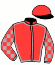 Casaque du jockey de Larisse D'Echal