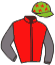 Casaque du jockey de La Terre Du Banney