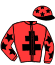 Casaque du jockey de Nefert D'Alesa
