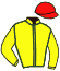 Casaque du jockey de Kupka