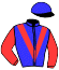 Casaque du jockey de Wait The Storm