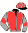 Casaque du jockey de Roi Leon
