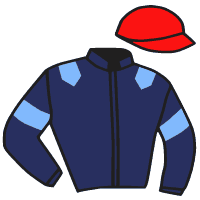 Casaque du jockey de Cazadora