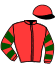 Casaque du jockey de Horage