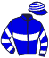Casaque du jockey de Le Grand De Viry