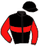 Casaque du jockey de Falcon Jet