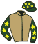 Casaque du jockey de Volcana Du Berlais