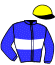 Casaque du jockey de Allons A Vassy