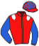Casaque du jockey de Jardin Secret