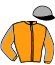 Casaque du jockey de Veronale