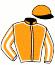 Casaque du jockey de Gino Du Mathan