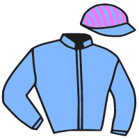 Casaque du jockey de Dignam