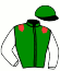 Casaque du jockey de Milly Wells