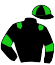 Casaque du jockey de Rygia
