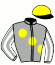Casaque du jockey de Shinco Du Ficheau