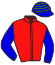 Casaque du jockey de Hamandio