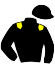 Casaque du jockey de Wild Fun