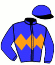 Casaque du jockey de Theleme