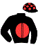 Casaque du jockey de Gingembre Menthe