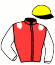 Casaque du jockey de Littleboy D'Hollow