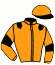 Casaque du jockey de Mesange Du Plessis
