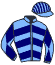 Casaque du jockey de Blues Moon