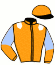 Casaque du jockey de Jamaica