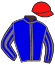 Casaque du jockey de Garris