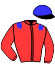 Casaque du jockey de Roi De L'Air