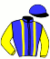 Casaque du jockey de Mestreyf