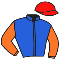 Casaque du jockey de Bolthole