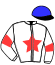 Casaque du jockey de Volynka