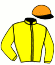Casaque du jockey de Kentia Des Rioults