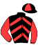 Casaque du jockey de Kyushu