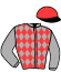 Casaque du jockey de Liberty Love