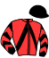 Casaque du jockey de Lady Ever