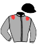 Casaque du jockey de Morning Sun