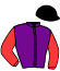 Casaque du jockey de Ines De Gladjess